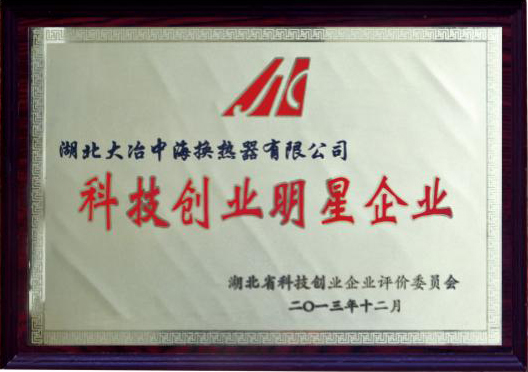 Science and technology entrepreneurship star enterprises